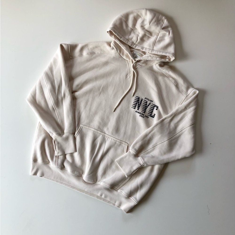 aerie FREE WITH PURCHASE cloud fleece hoodie